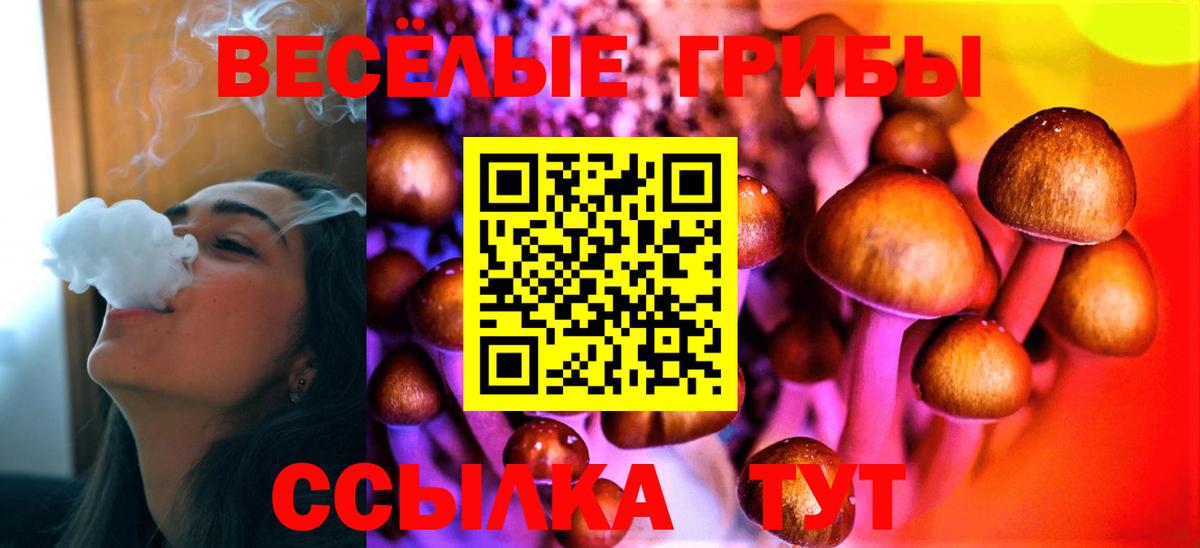 Псилоцибиновые грибы Psilocybe Кузнецк